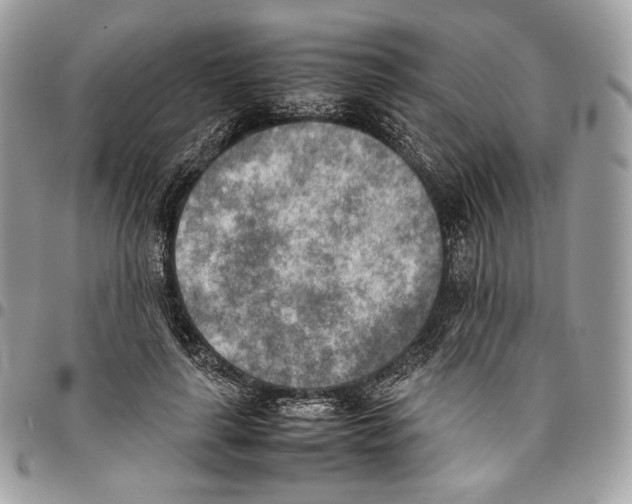 X0000095890643200802081118