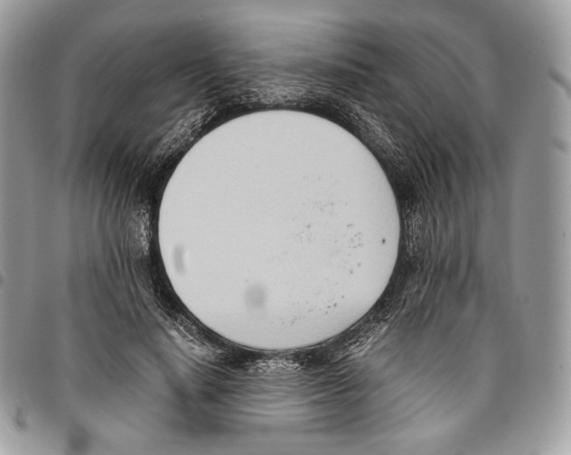 X0000095890644200802081118
