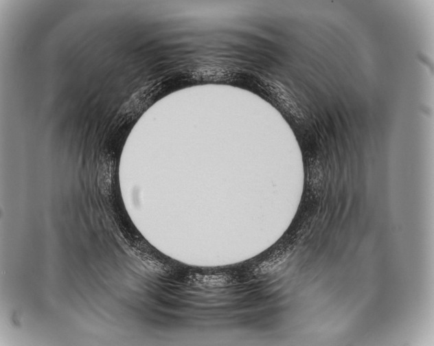 X0000095890645200802081118