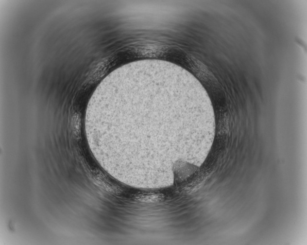 X0000095890646200802081118