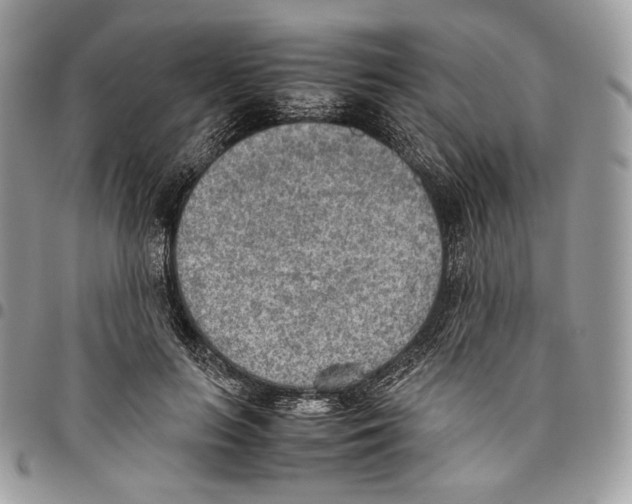 X0000095890647200802081118