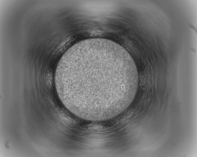 X0000095890648200802081118