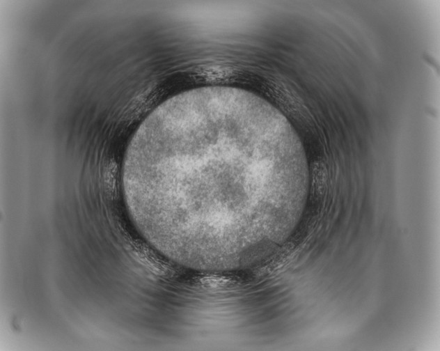 X0000095890650200802081118