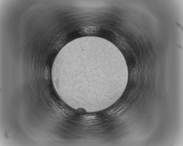 X0000095890651200802081118