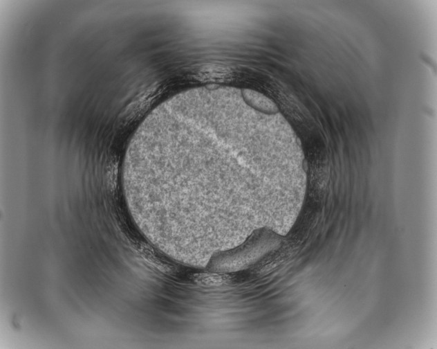 X0000095890652200802081118