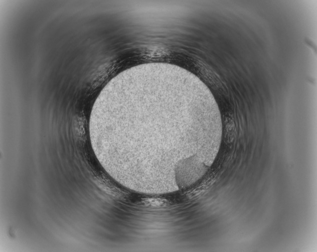 X0000095890654200802081119