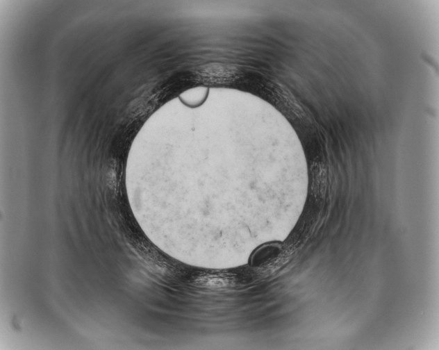 X0000095890655200802081119