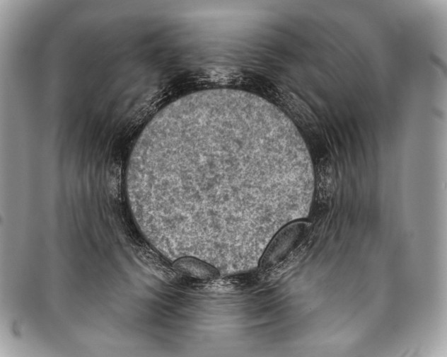 X0000095890656200802081119