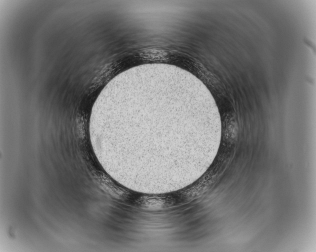 X0000095890658200802081119
