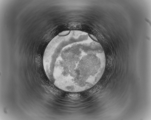 X0000095890659200802081119