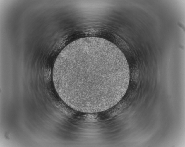 X0000095890660200802081119