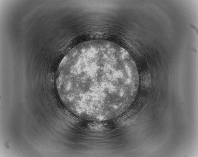 X0000095890661200802081119