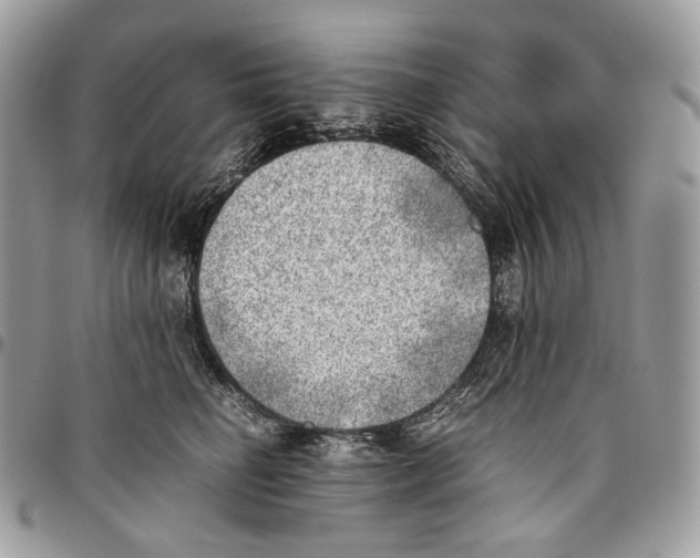 X0000095890662200802081119