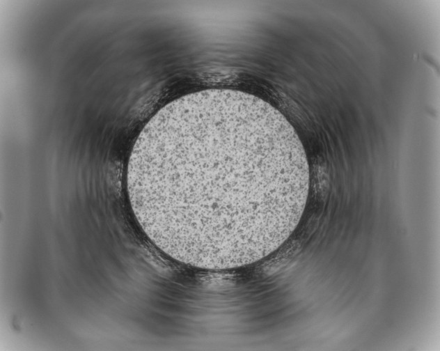 X0000095890664200802081119