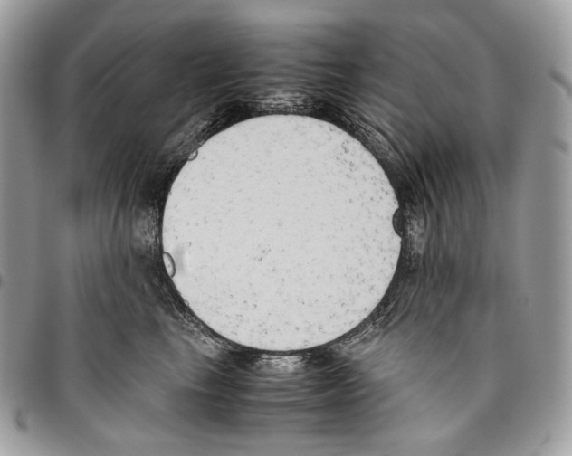 X0000095890665200802081119