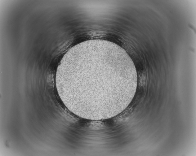 X0000095890666200802081119
