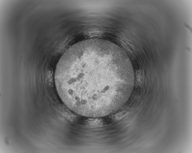 X0000095890667200802081119