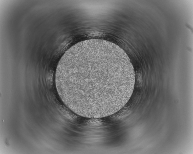 X0000095890668200802081119