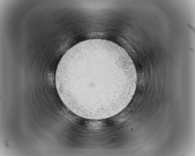 X0000095890669200802081119