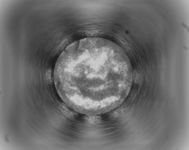 X0000095890670200802081119