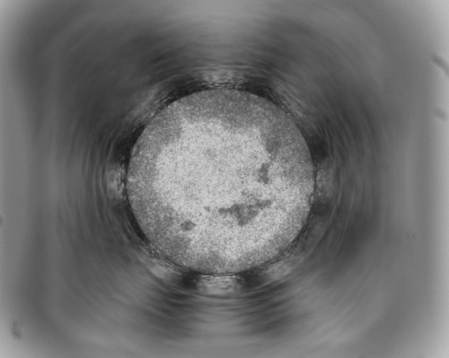 X0000095890671200802081119