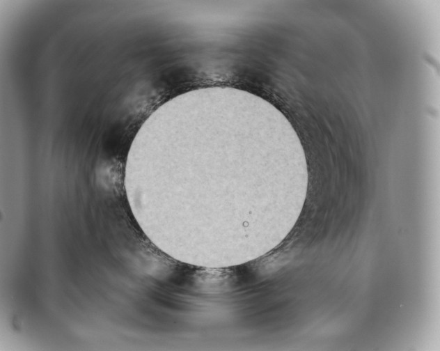 X0000095890672200802081119