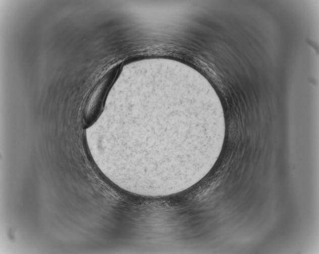 X0000095890673200802081118