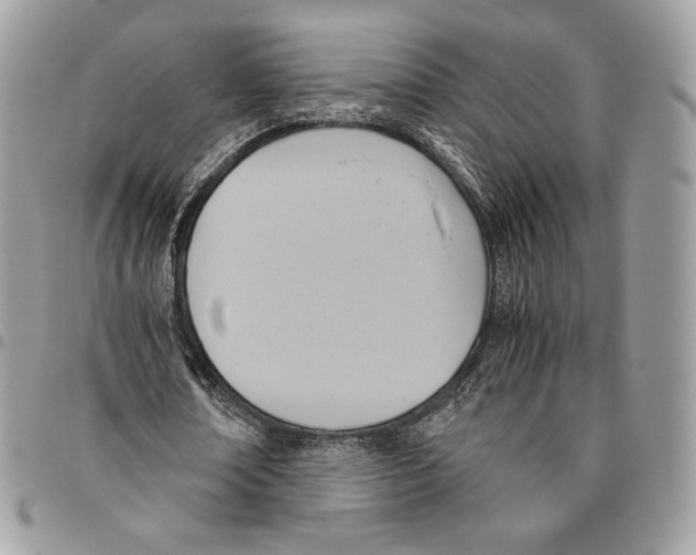 X0000095890674200802081118