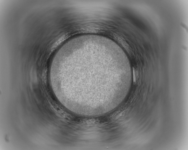 X0000095890675200802081118