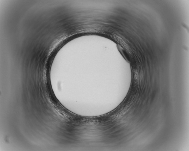 X0000095890676200802081118