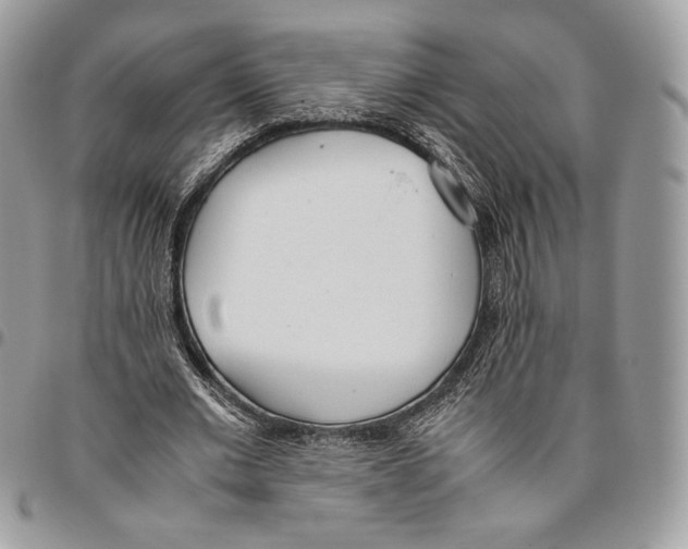 X0000095890677200802081118