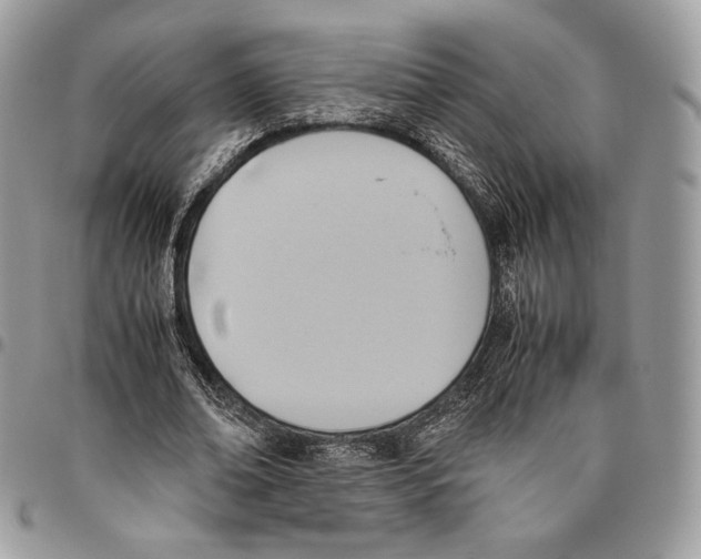 X0000095890678200802081118