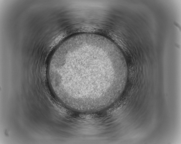 X0000095890679200802081118