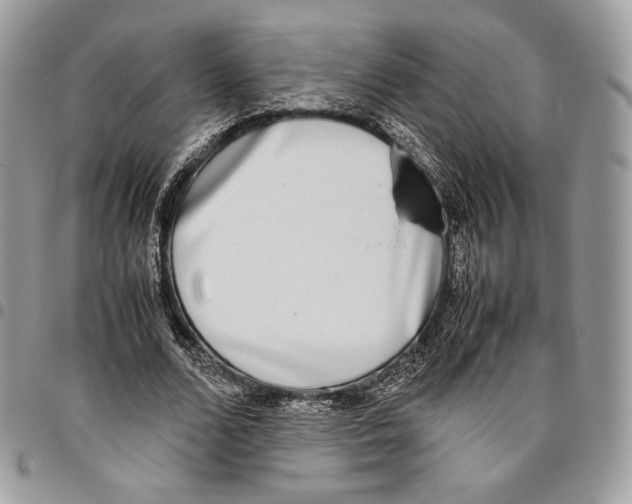 X0000095890680200802081118