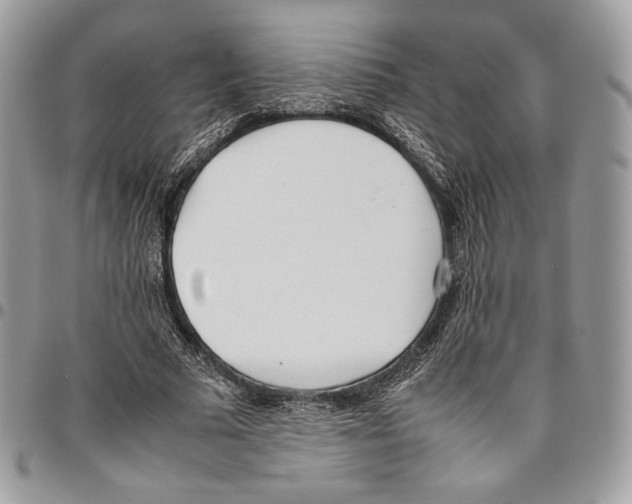 X0000095890681200802081118