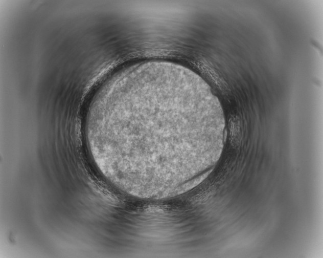 X0000095890684200802081118