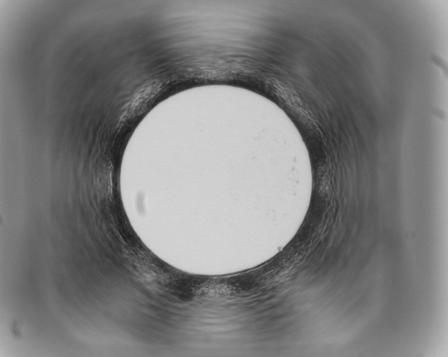 X0000095890685200802081118