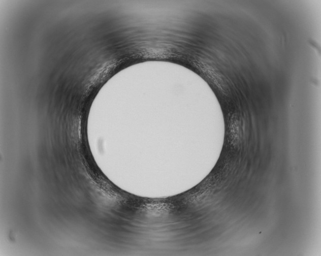 X0000095890686200802081118