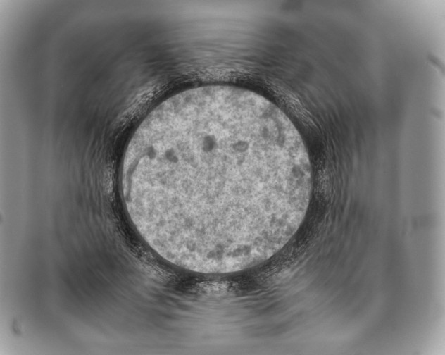 X0000095890687200802081118