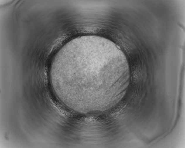 X0000095890688200802081118