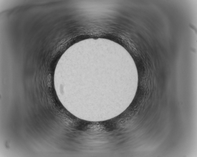 X0000095890689200802081118