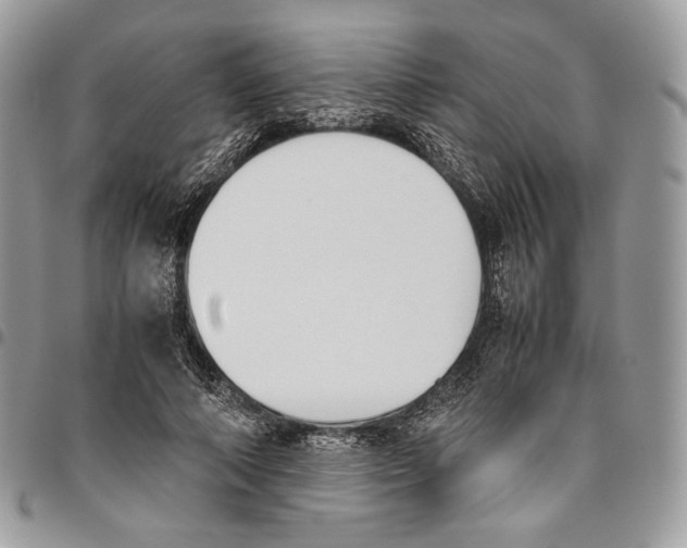 X0000095890690200802081118