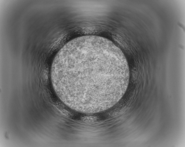 X0000095890691200802081118