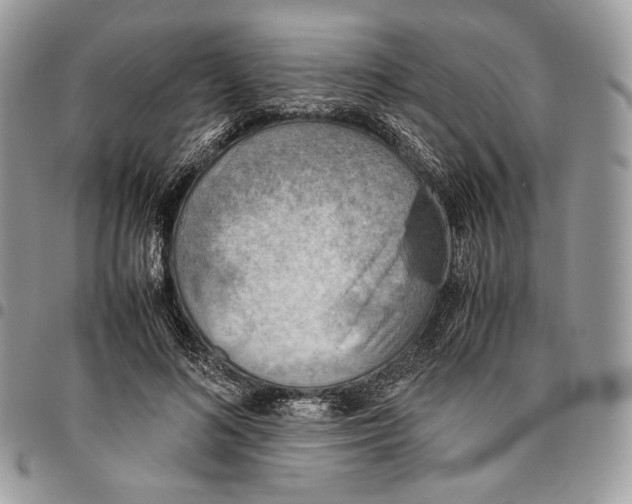 X0000095890692200802081118