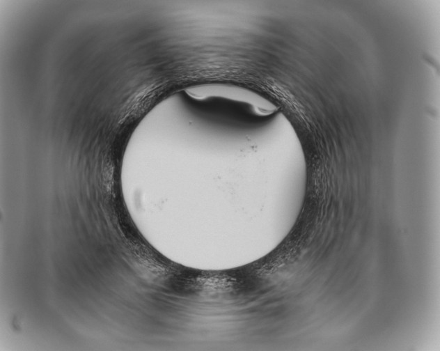 X0000095890693200802081118