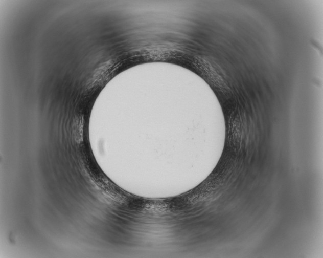X0000095890694200802081118