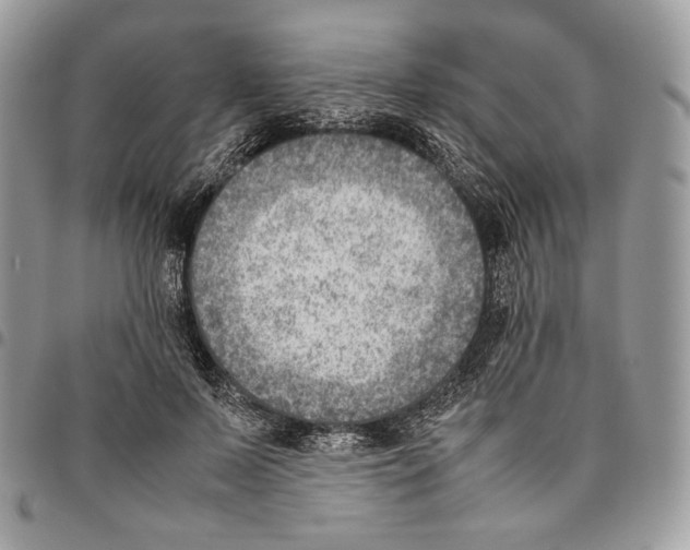 X0000095890695200802081118