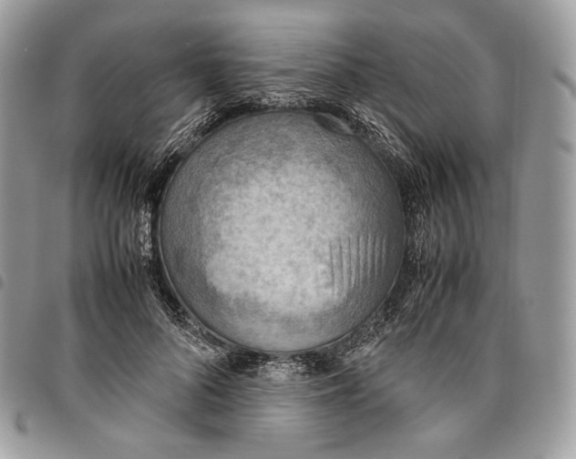 X0000095890696200802081118