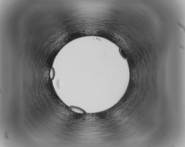 X0000095890697200802081118