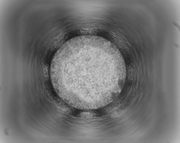 X0000095890699200802081118